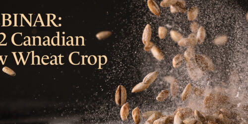 WEBINAR: 2022 New Wheat Crop Report for our Customers in the Americas and Europe