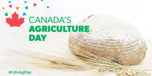Celebrate Canadian Cereals on Canada’s Ag Day and Every Day