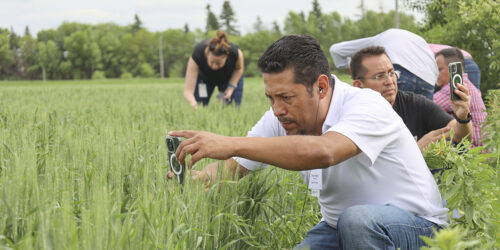 Trimex Technical Exchange Highlights the Quality of Canadian Wheat 