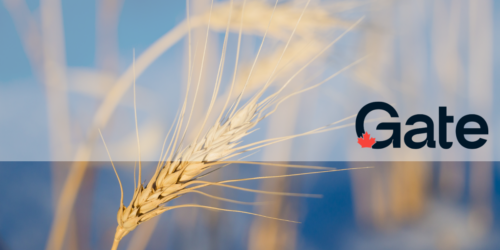 RELEASE: Province of Manitoba Commits Second Round of Funding for Gate